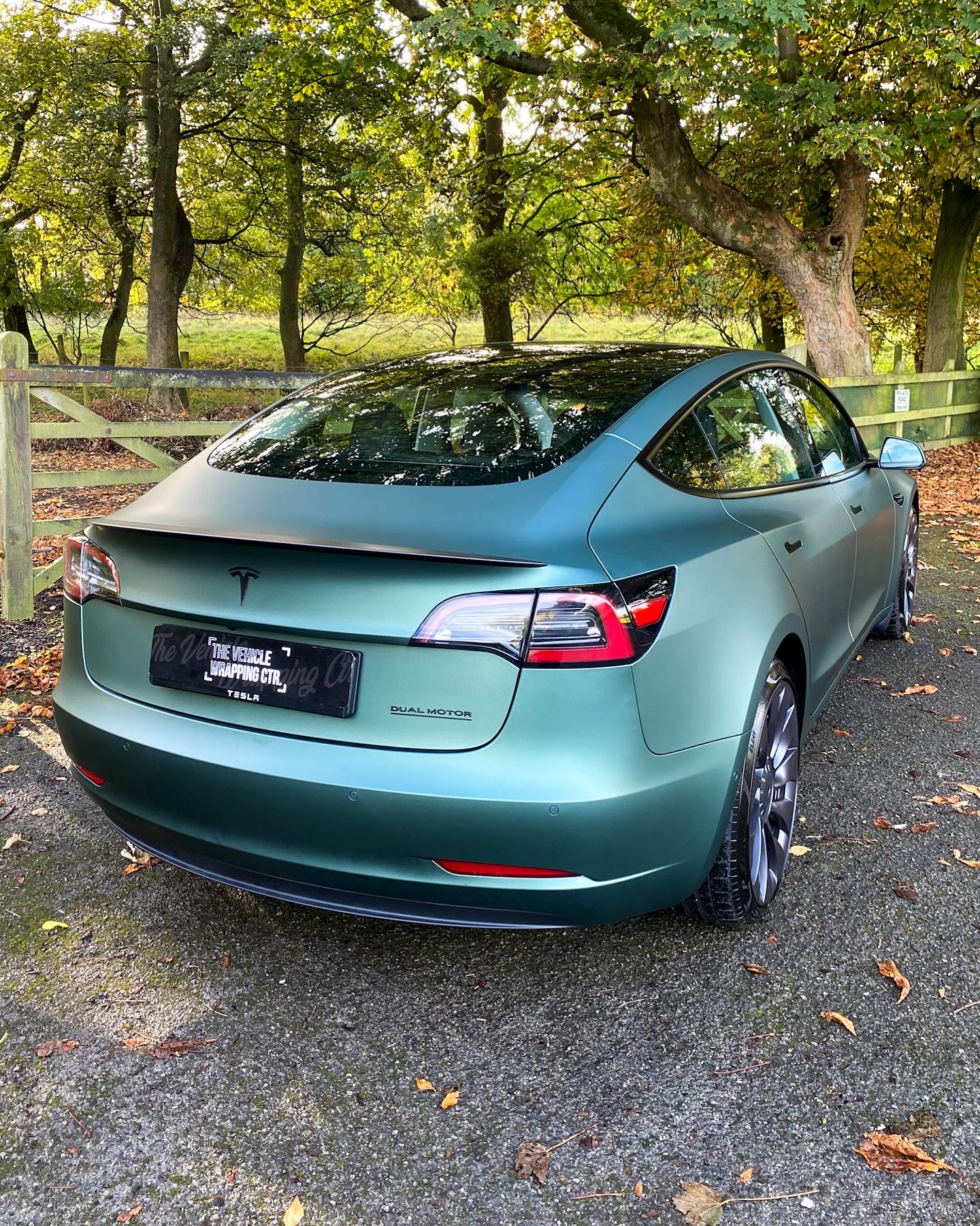 Tesla Model 3 - Matte Pine Green - Personal Wrapping Project